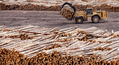 Placement de bois d oeuvre à l extérieur